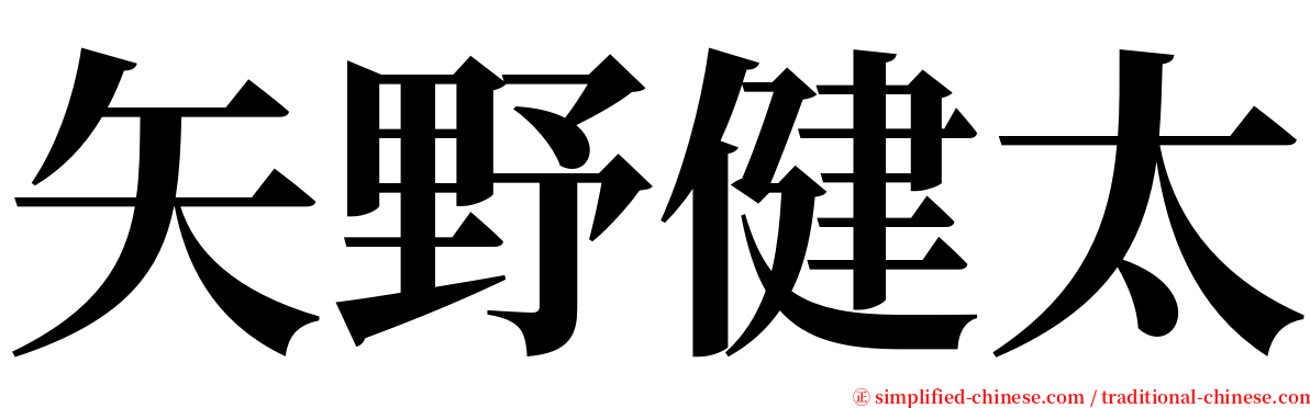 矢野健太 serif font