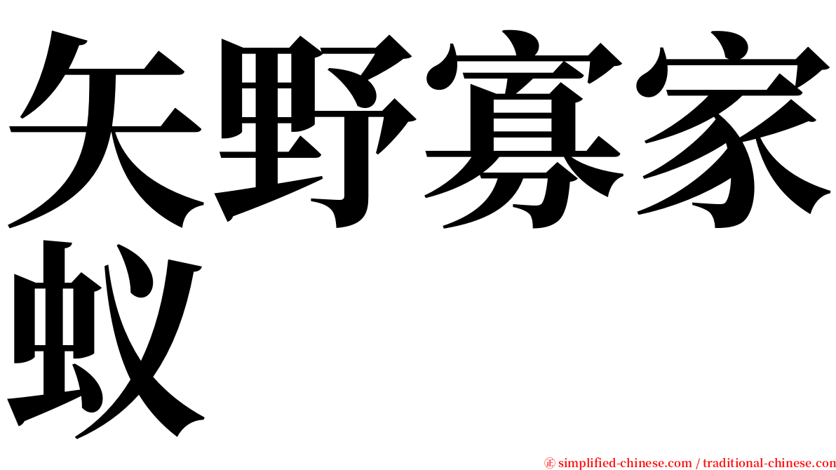 矢野寡家蚁 serif font