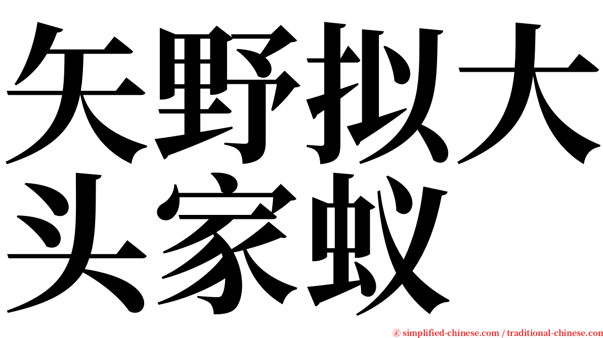 矢野拟大头家蚁 serif font