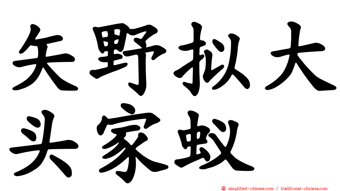 矢野拟大头家蚁
