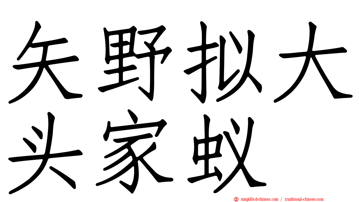 矢野拟大头家蚁