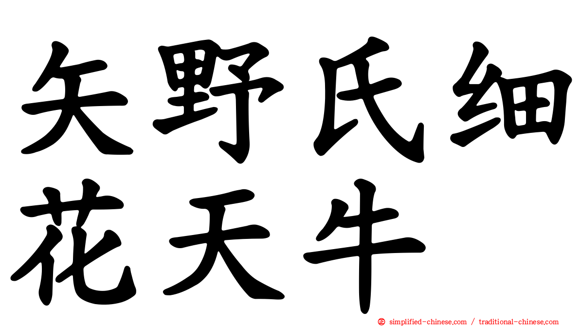 矢野氏细花天牛