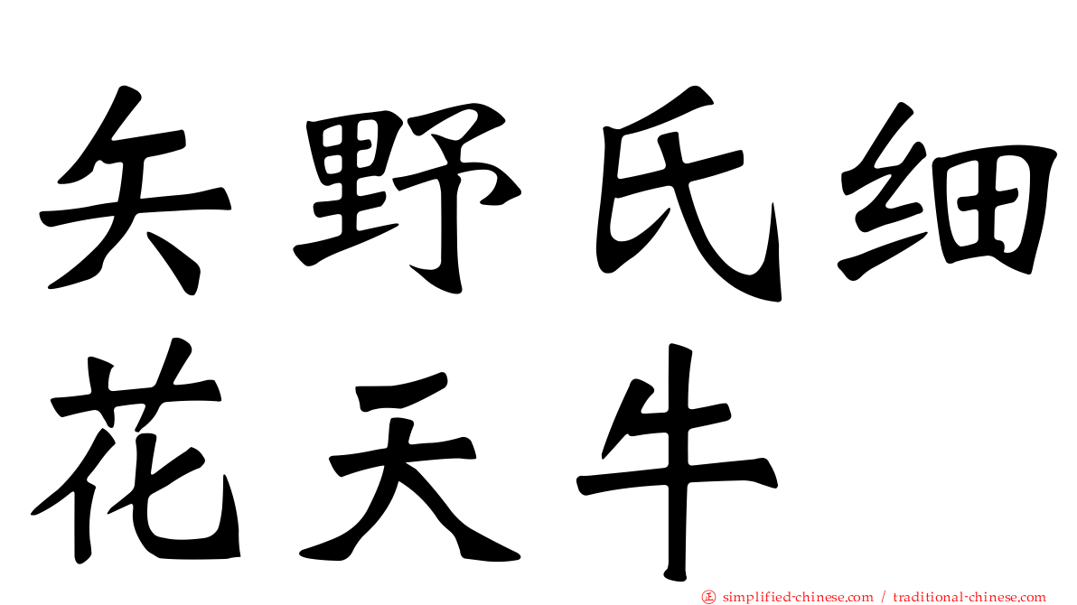 矢野氏细花天牛