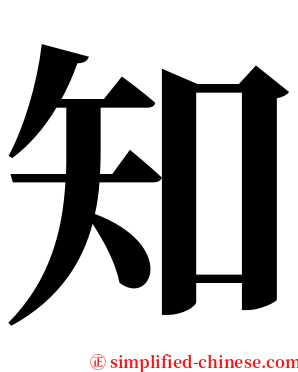 知 serif font