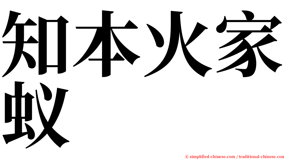 知本火家蚁 serif font
