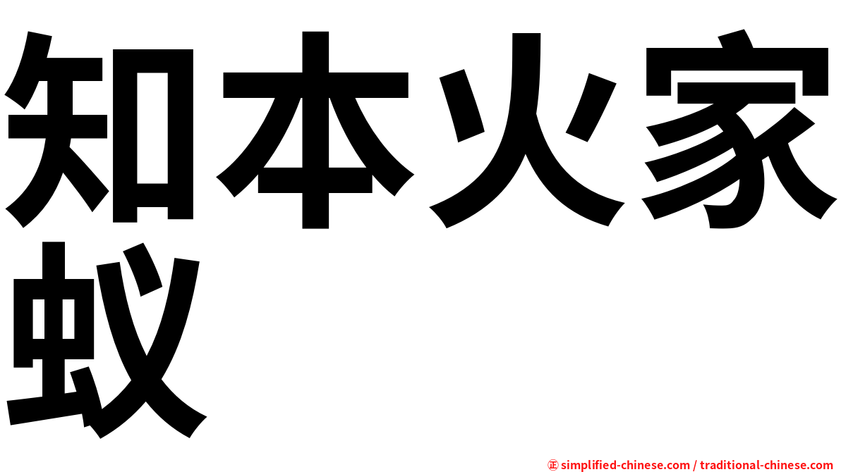知本火家蚁