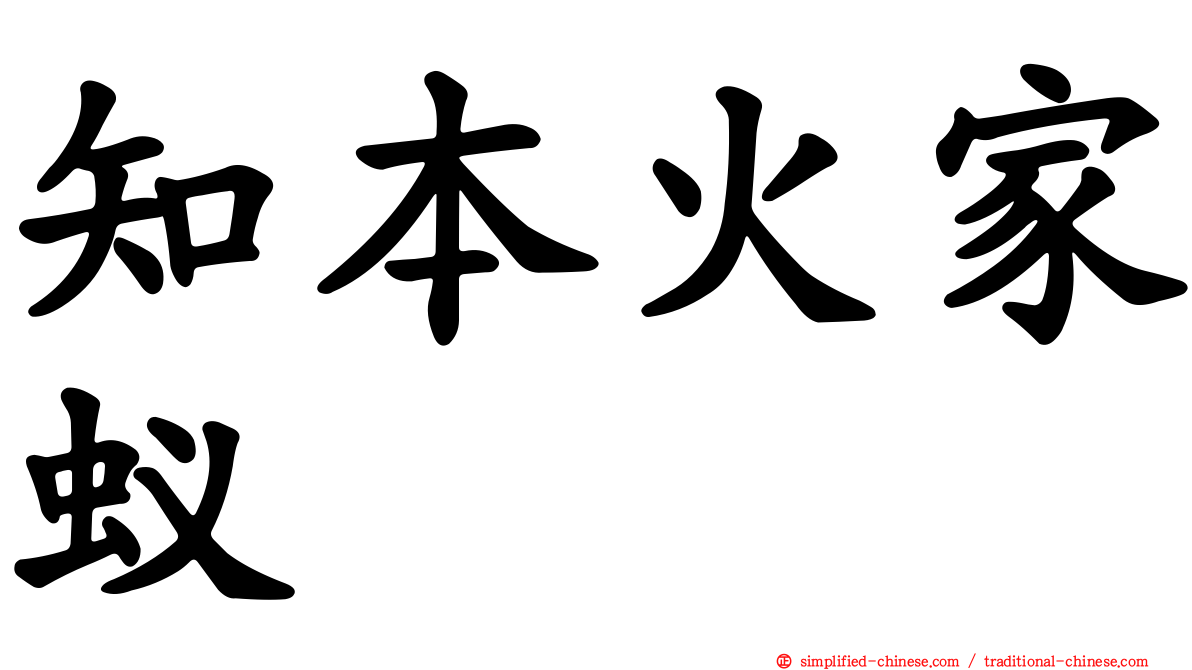 知本火家蚁