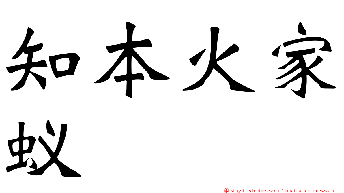 知本火家蚁