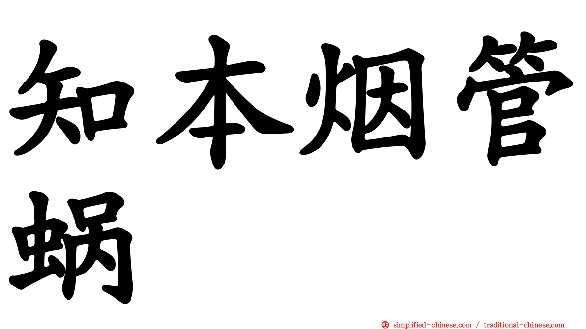 知本烟管蜗