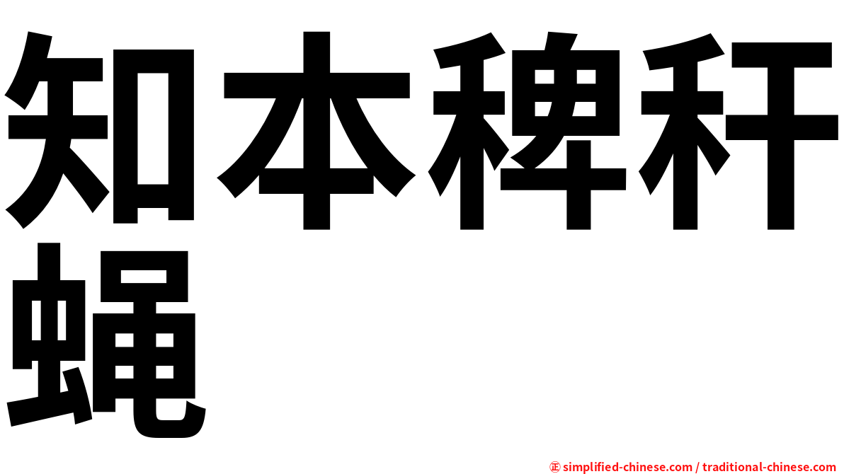 知本稗秆蝇