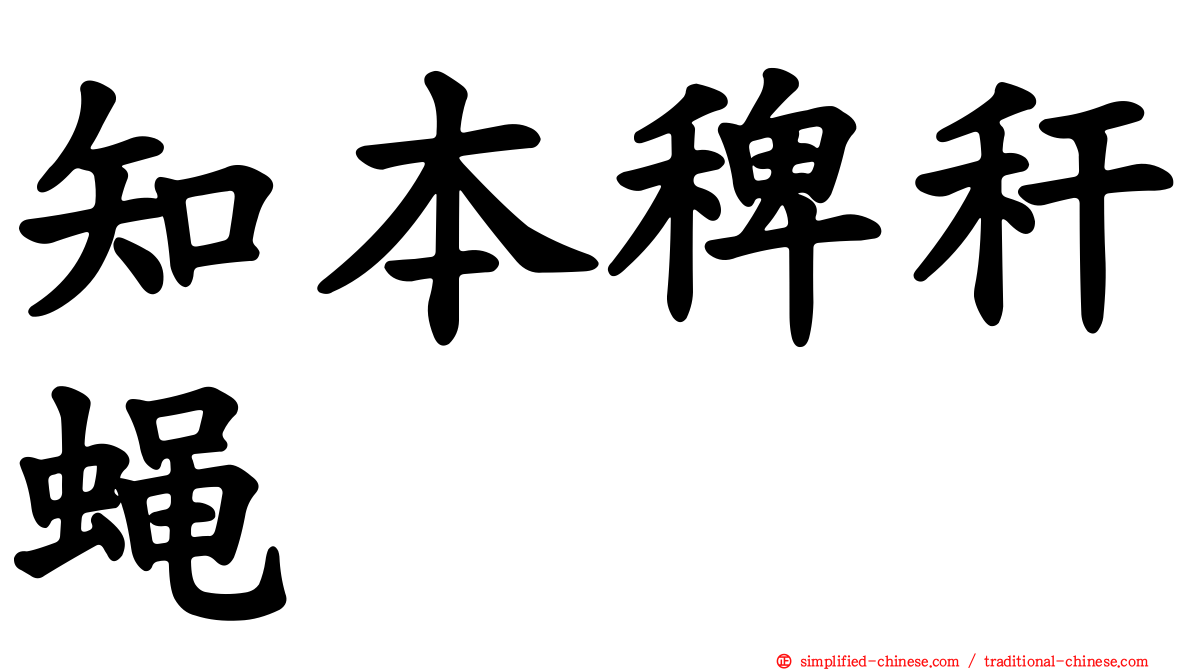 知本稗秆蝇