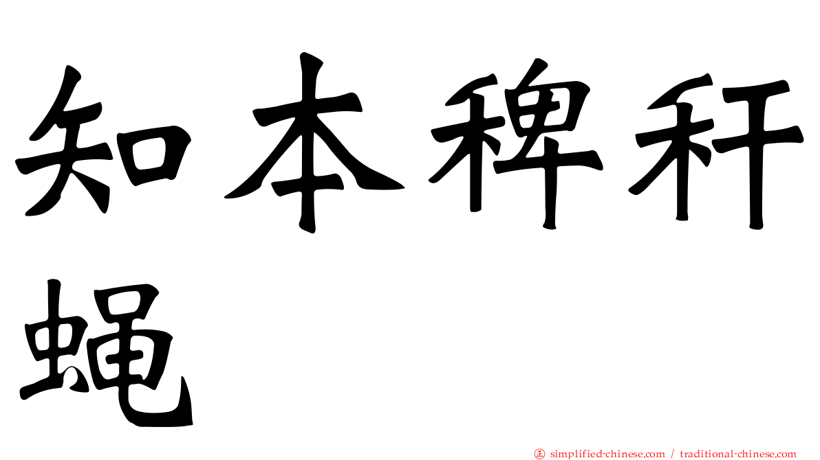 知本稗秆蝇