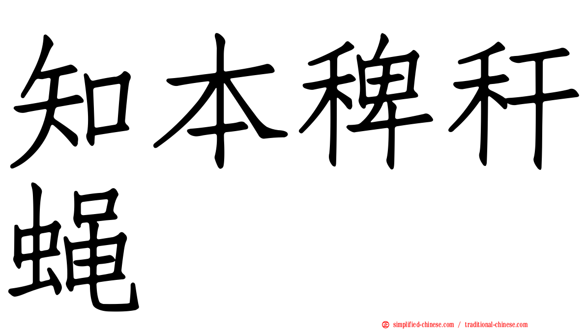 知本稗秆蝇