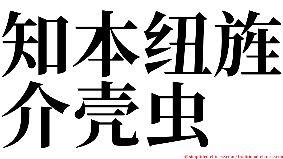 知本纽旌介壳虫 serif font