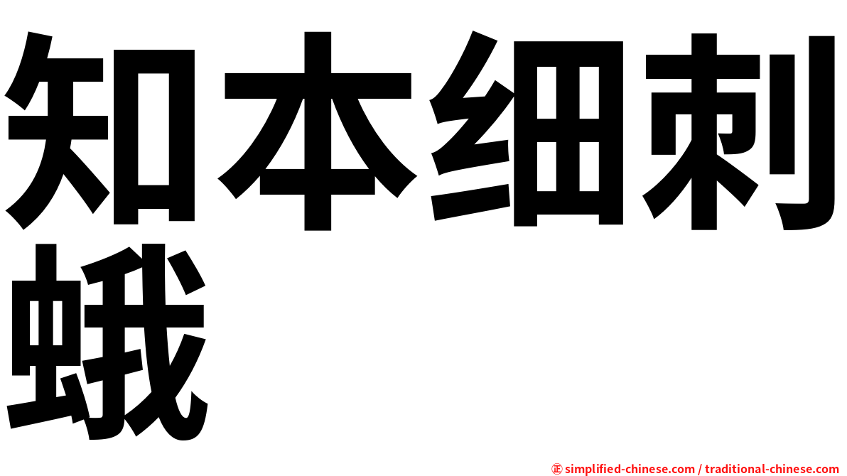 知本细刺蛾