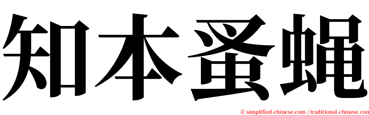 知本蚤蝇 serif font