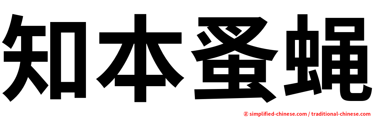 知本蚤蝇