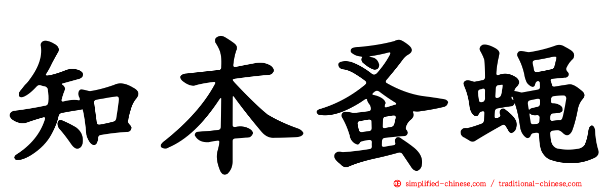 知本蚤蝇