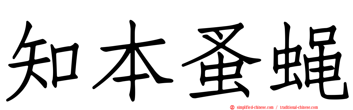 知本蚤蝇
