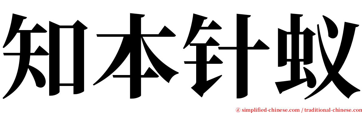 知本针蚁 serif font