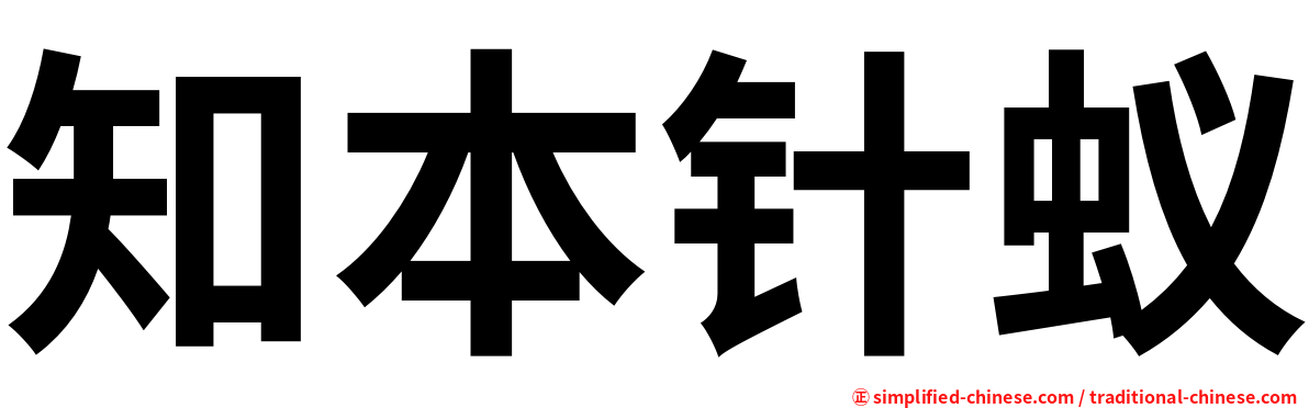 知本针蚁