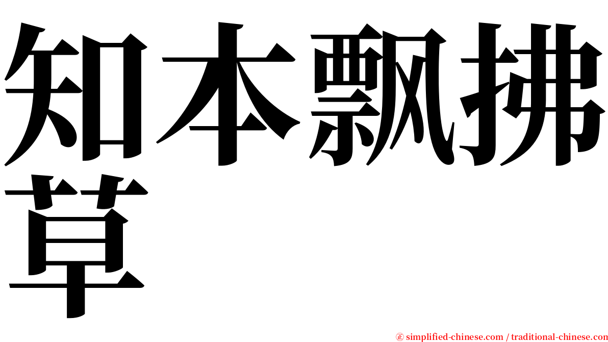 知本飘拂草 serif font