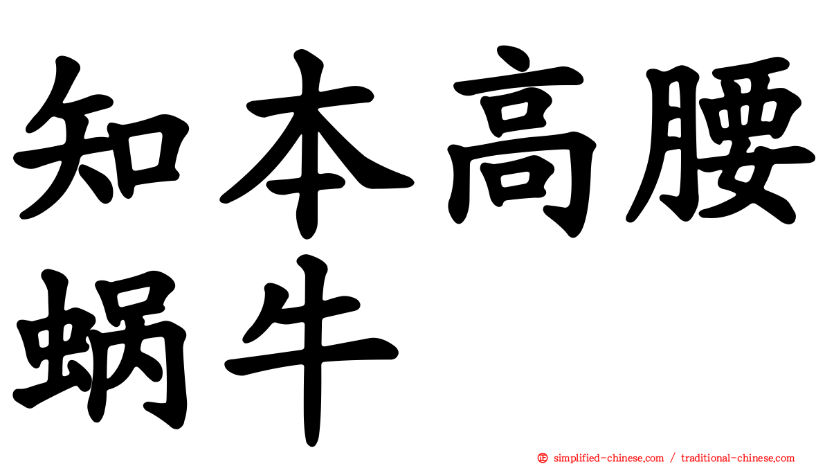 知本高腰蜗牛