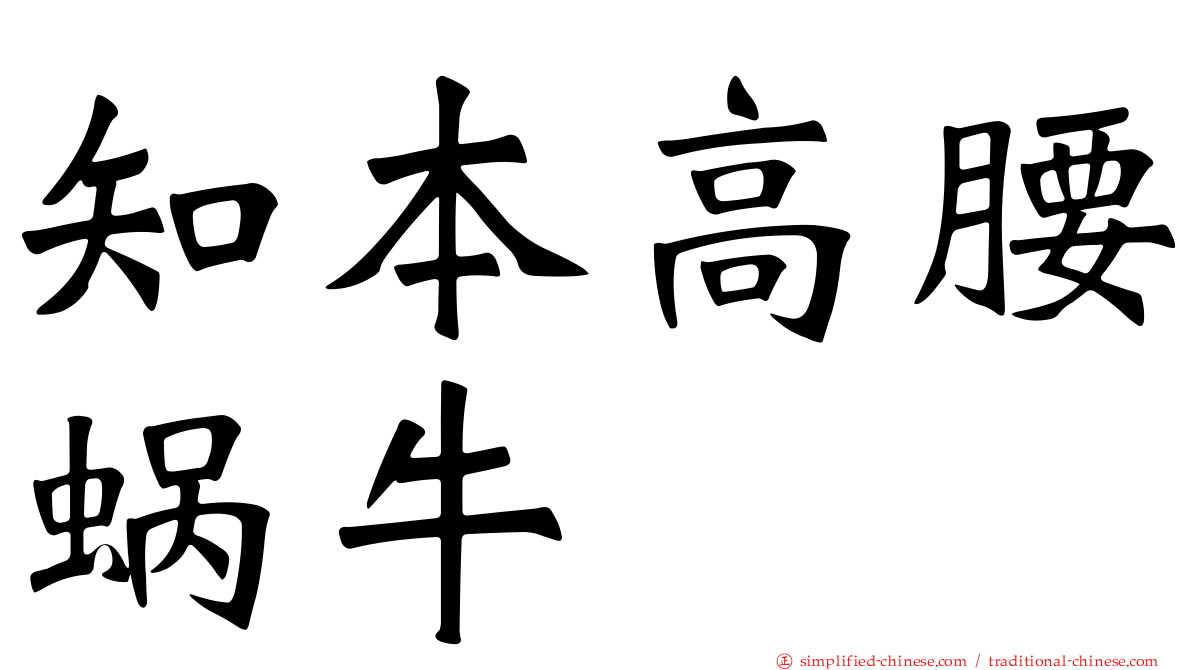 知本高腰蜗牛
