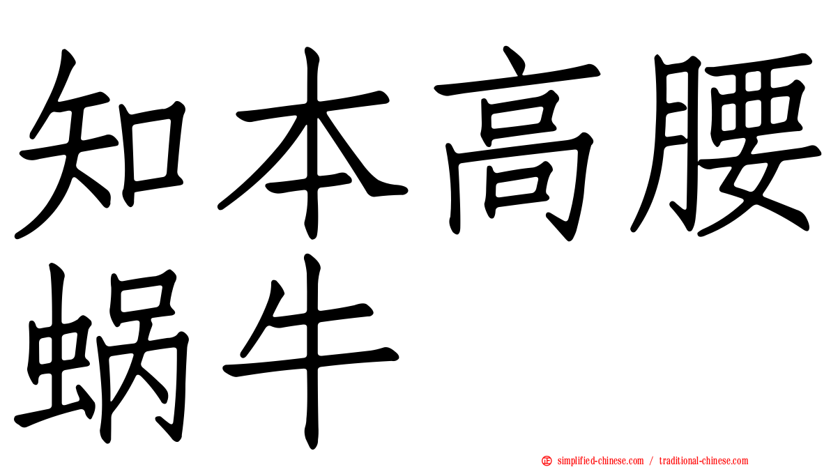 知本高腰蜗牛