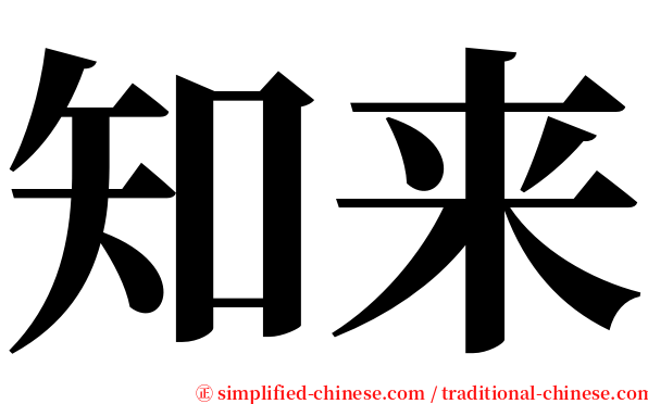 知来 serif font