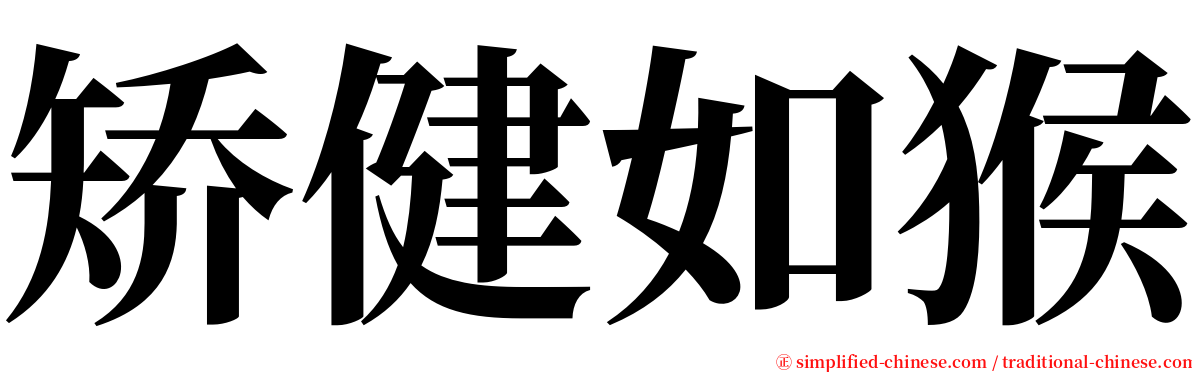 矫健如猴 serif font
