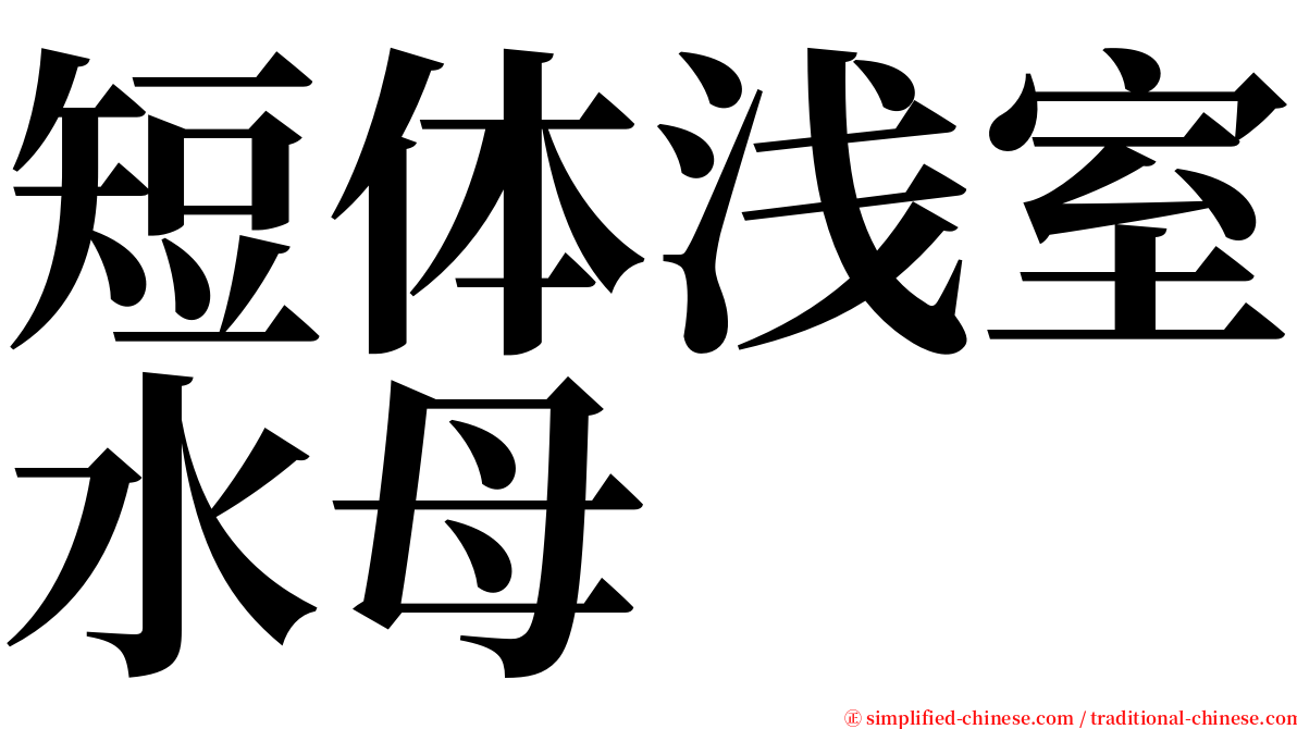 短体浅室水母 serif font