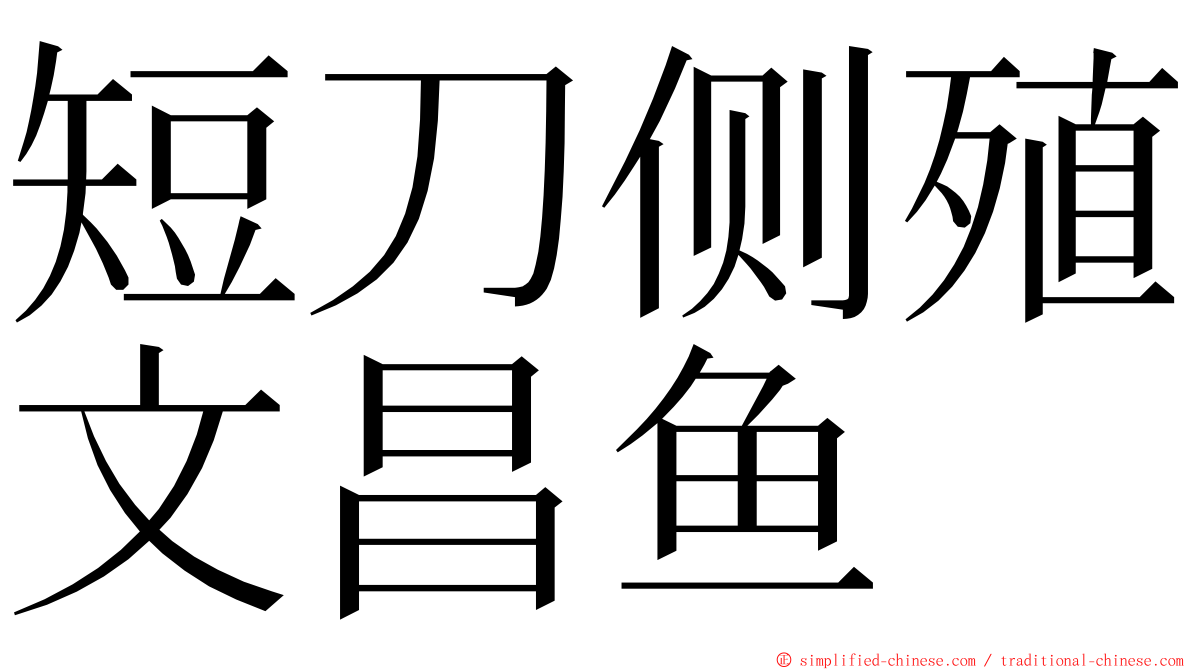 短刀侧殖文昌鱼 ming font