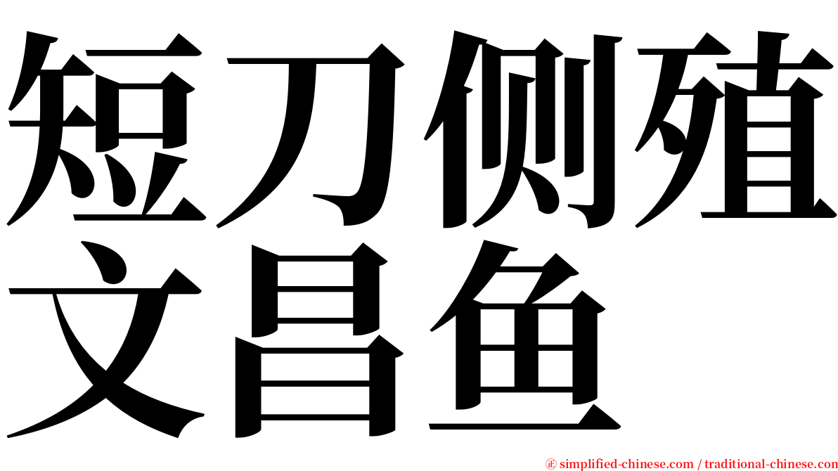 短刀侧殖文昌鱼 serif font