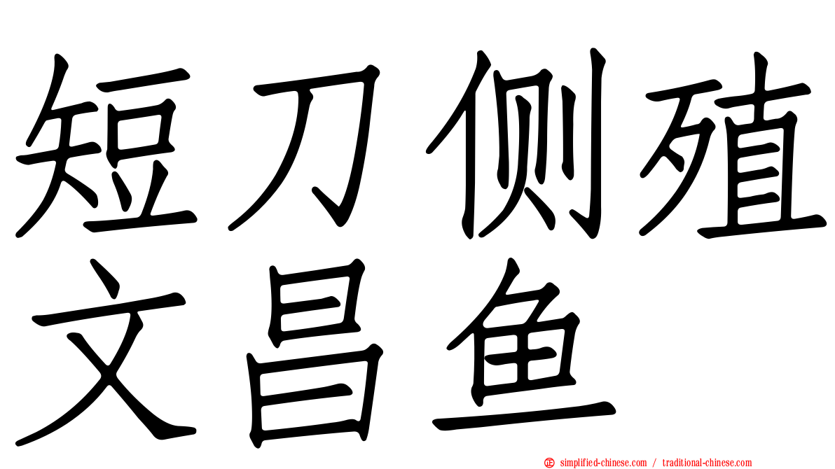 短刀侧殖文昌鱼