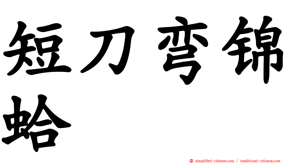 短刀弯锦蛤
