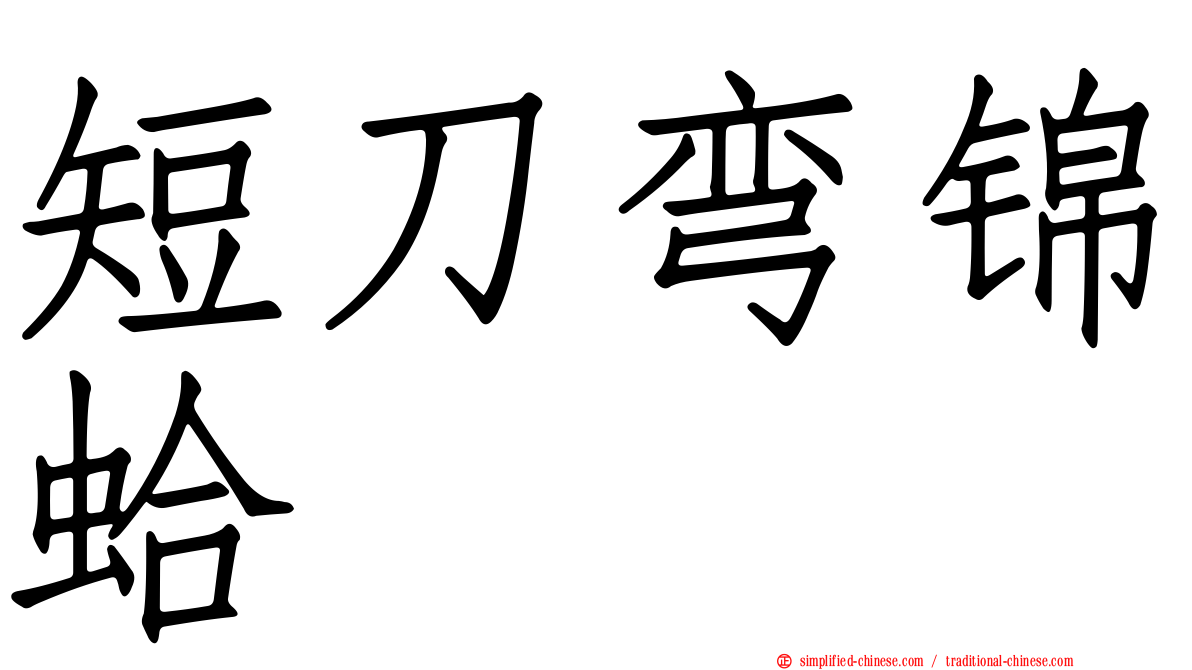 短刀弯锦蛤