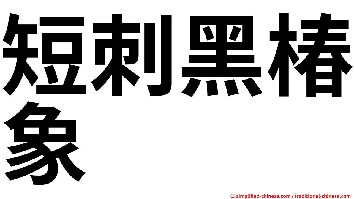 短刺黑椿象