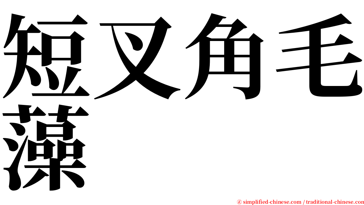 短叉角毛藻 serif font