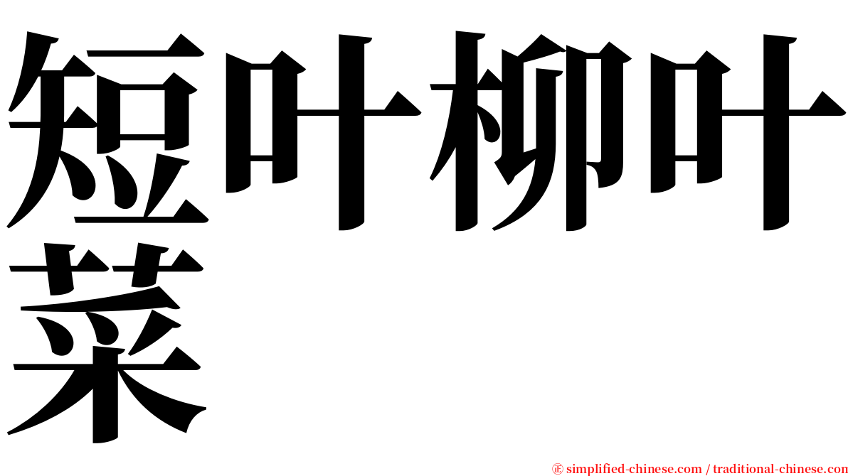 短叶柳叶菜 serif font