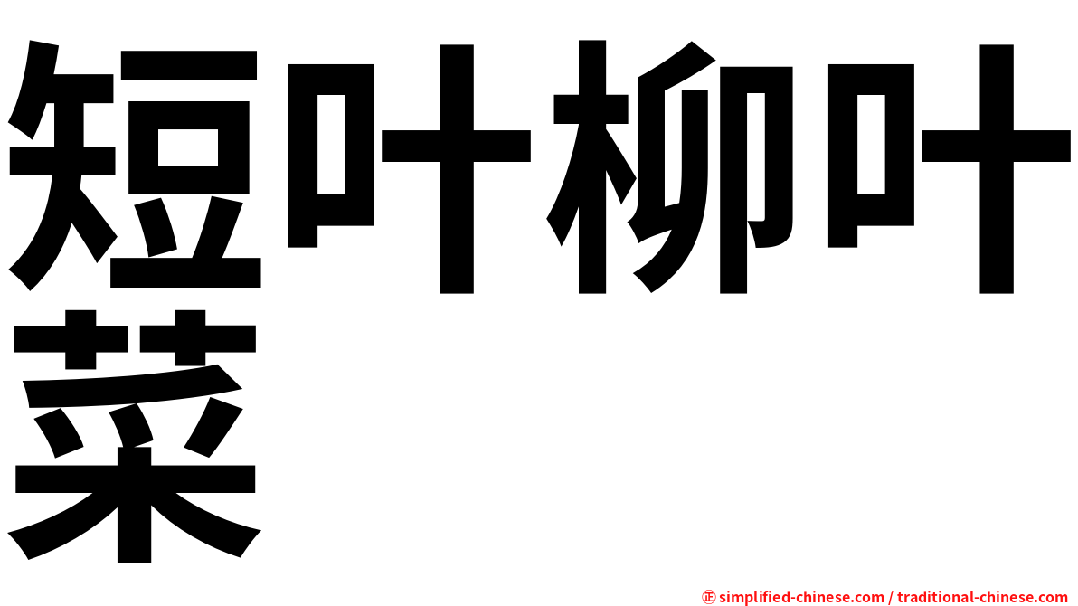 短叶柳叶菜