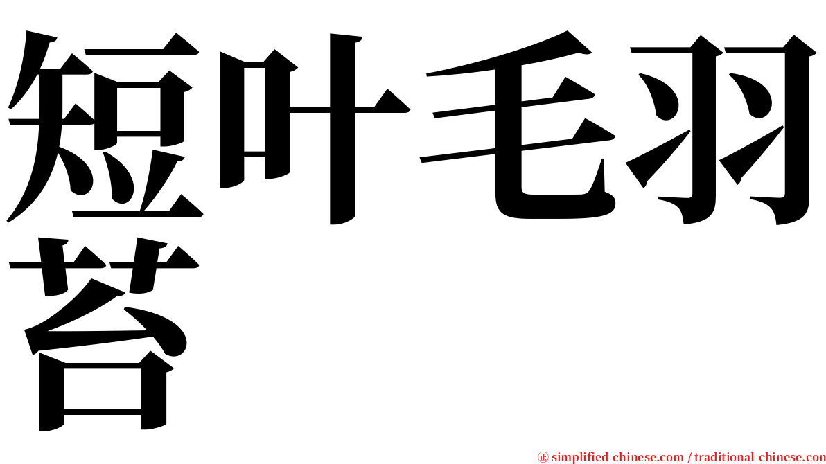 短叶毛羽苔 serif font