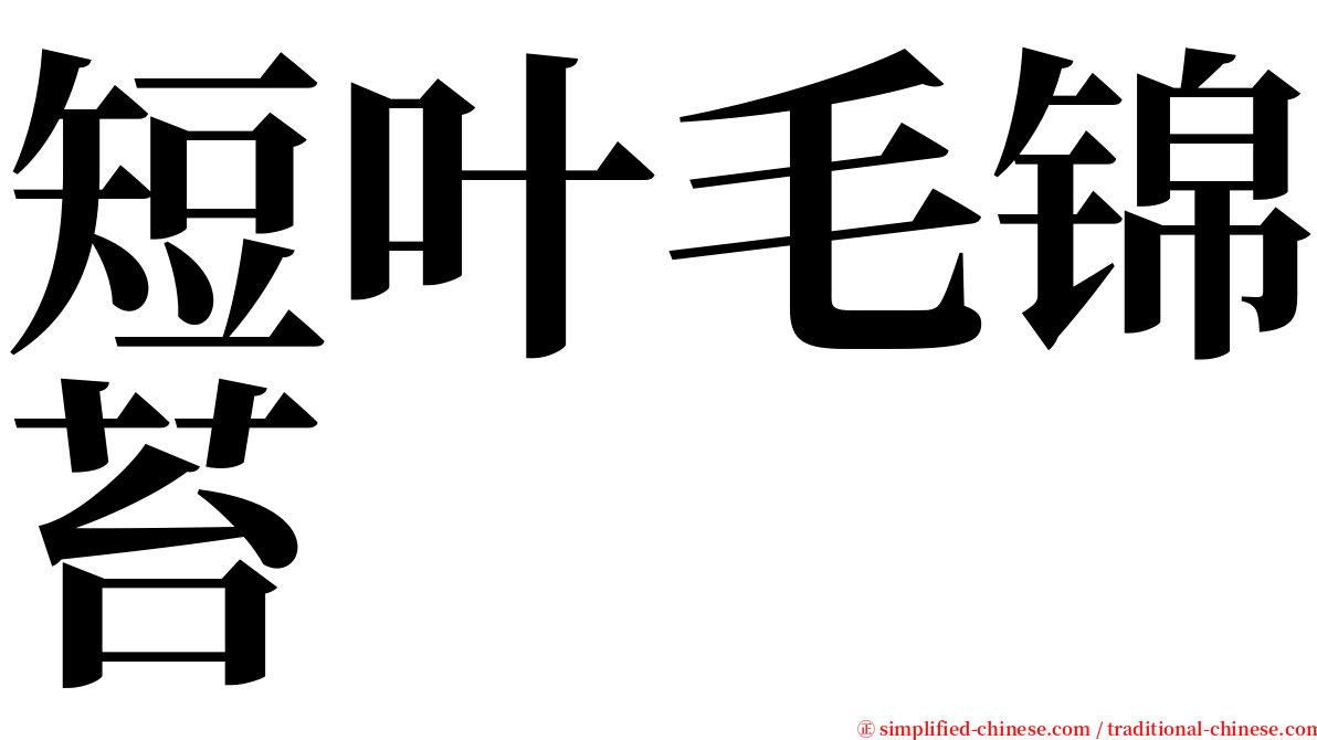 短叶毛锦苔 serif font