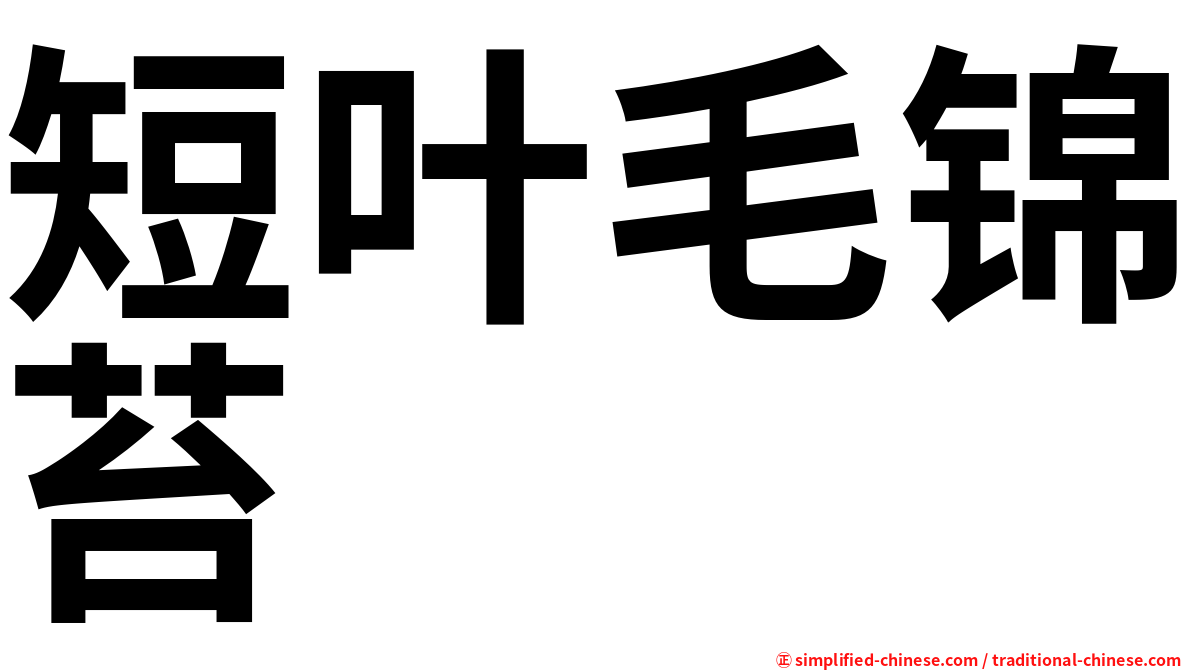 短叶毛锦苔