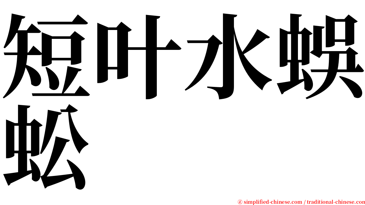短叶水蜈蚣 serif font