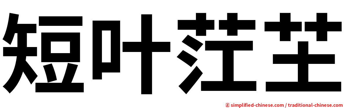 短叶茳芏