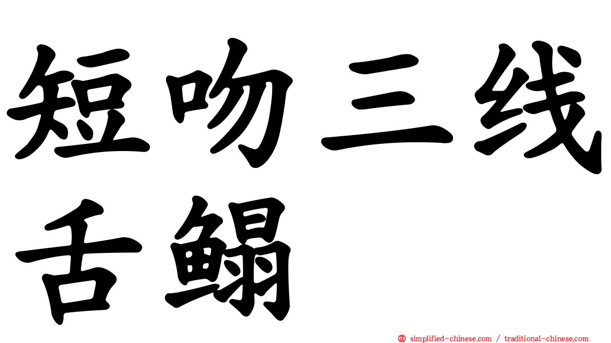 短吻三线舌鳎