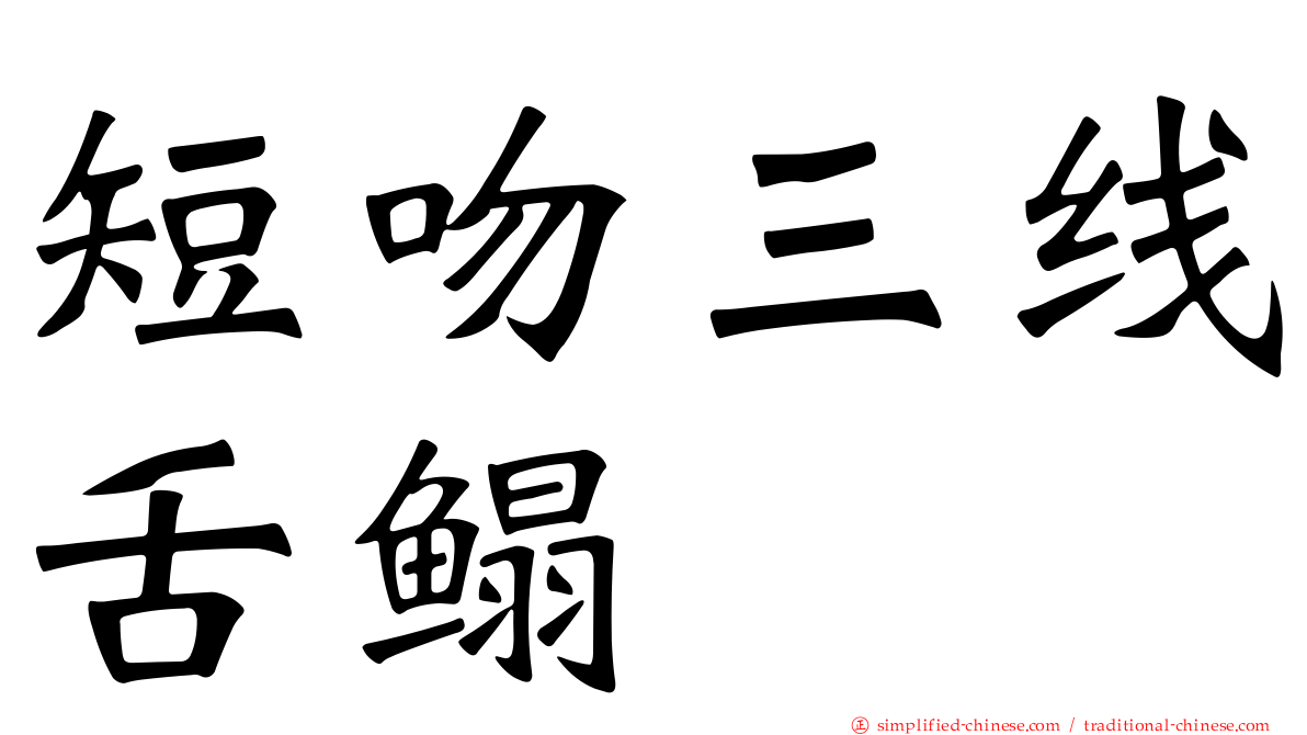 短吻三线舌鳎