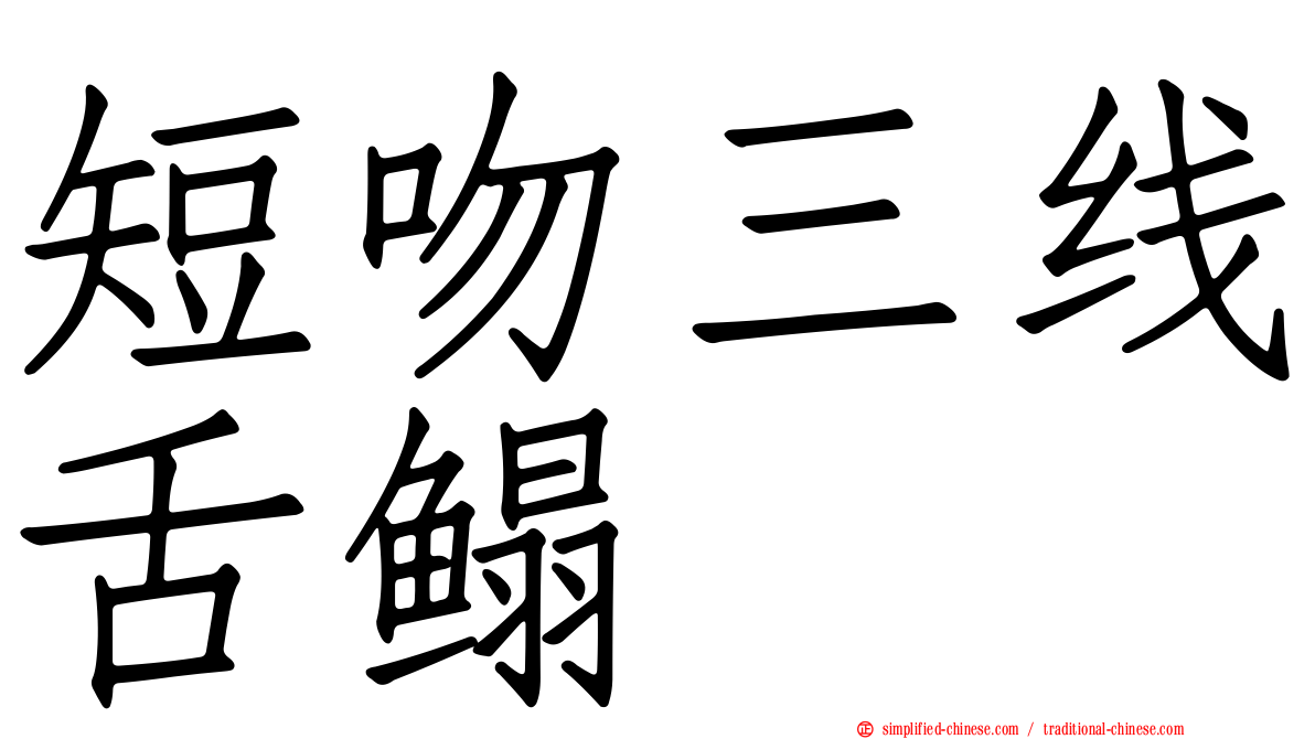 短吻三线舌鳎