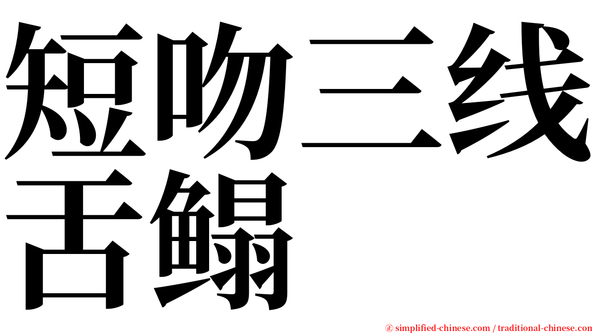 短吻三线舌鳎 serif font